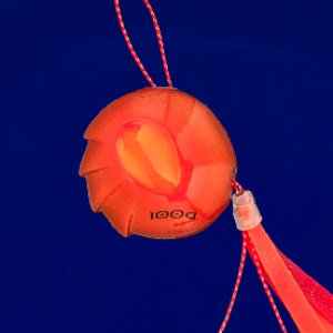 画像4: SEAFLOOR CONTROL/アンモナイト コンプリート 60g