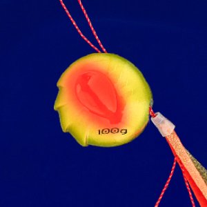 画像6: SEAFLOOR CONTROL/アンモナイト コンプリート 60g