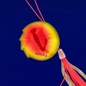 画像7: SEAFLOOR CONTROL/アンモナイト コンプリート 60g