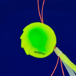 画像9: SEAFLOOR CONTROL/アンモナイト コンプリート 60g