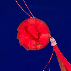 画像5: SEAFLOOR CONTROL/アンモナイト コンプリート 60g