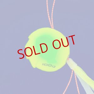 画像9: SEAFLOOR CONTROL/アンモナイト コンプリート 100g