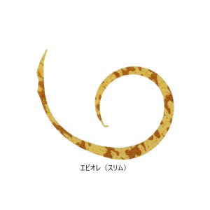 画像11: JACKALL/ ビンビンスイッチT+ネクタイ マイクロカーリー スリム