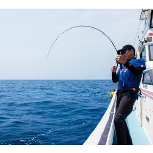 画像4: SEAFLOOR CONTROL/ RAPIER511(レイピア511) 5 FORCE