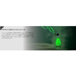 画像5: JACKALL/ TGビンビンスイッチ アマダイSpecial 80g