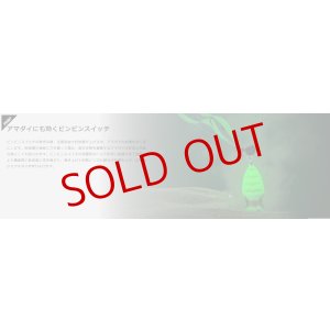 画像5: JACKALL/ TGビンビンスイッチ アマダイSpecial 120g