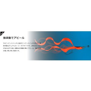 画像12: JACKALL/ ビンビンスイッチT+ネクタイ デュアルカーリー