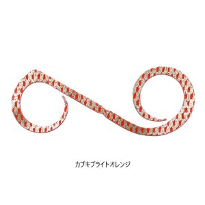 画像5: JACKALL/ ビンビンスイッチT+ネクタイ デュアルカーリー