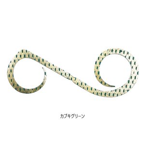 画像6: JACKALL/ ビンビンスイッチT+ネクタイ デュアルカーリー