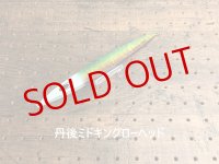 Nature Boys/ Swim Rider Short 205g【限定カラー 丹後スペシャル】