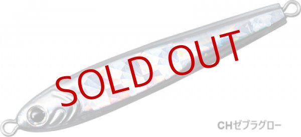 画像6: DAIWA/ ソルティガ TGベイト 120g (6)