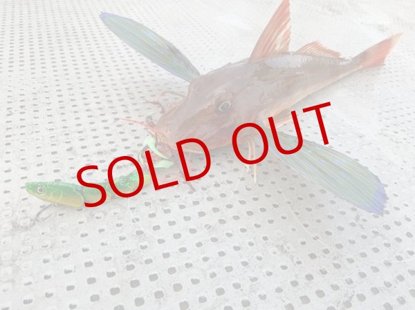 画像4: ON THE BLUE/ スーパーライト Jigggy Jr.(60g) #05 クールグリーンゴールド (4)