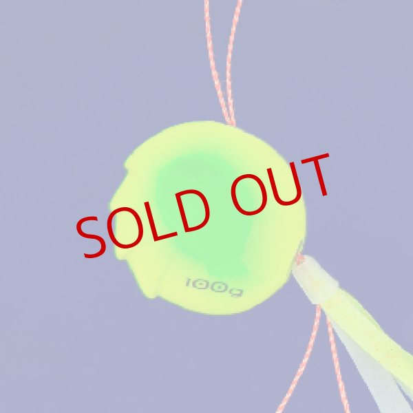 画像5: SEAFLOOR CONTROL/アンモナイト コンプリート 150g (5)