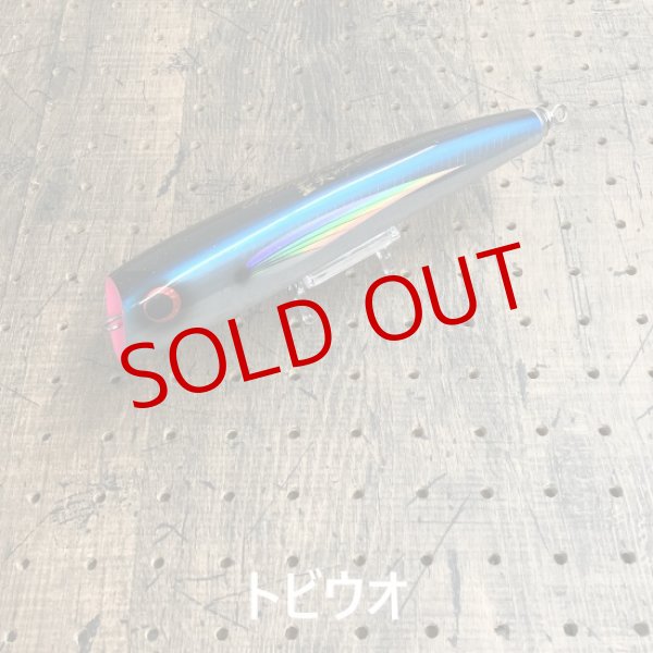 画像5: WILD GAMBLER/ DYNA-PLUG 聖天(ガネーシャ) 200F (5)