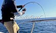 画像1: YAMAGA Blanks/ Galahad(ギャラハド) 623B Bait Model (1)