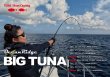 画像1: RippleFisher/ BIG TUNA(ビッグツナ) 76 JAPAN Special (1)