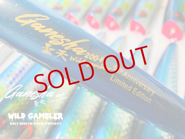 画像2: WILD GAMBLER/ DYNA-PLUG 聖天(ガネーシャ) 200F 10周年限定カラー【ホロイワシ】 (2)