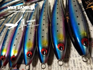 ワイルドギャンブラー ダイナプラグ 聖天 ガネーシャ200F