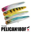 画像1: Nature Boys/PELICAN(ペリカン) 180F (1)